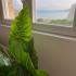 Appartement Olivia, logement privé à Bečići, Mont&eacute;n&eacute;gro - WhatsApp Image 2023-05-15 at 12.38.20